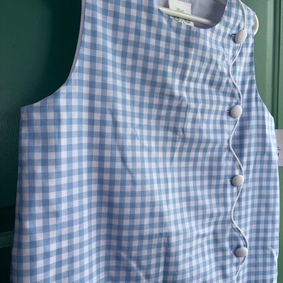 NEW size 10 Mint Magnolia Sara Shift Ballantyne BLue gingham - Picture 3 of 7